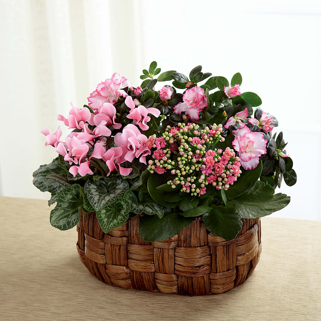Pink Assortment – MARE'S FLOWER SHOP, Las Vegas NV