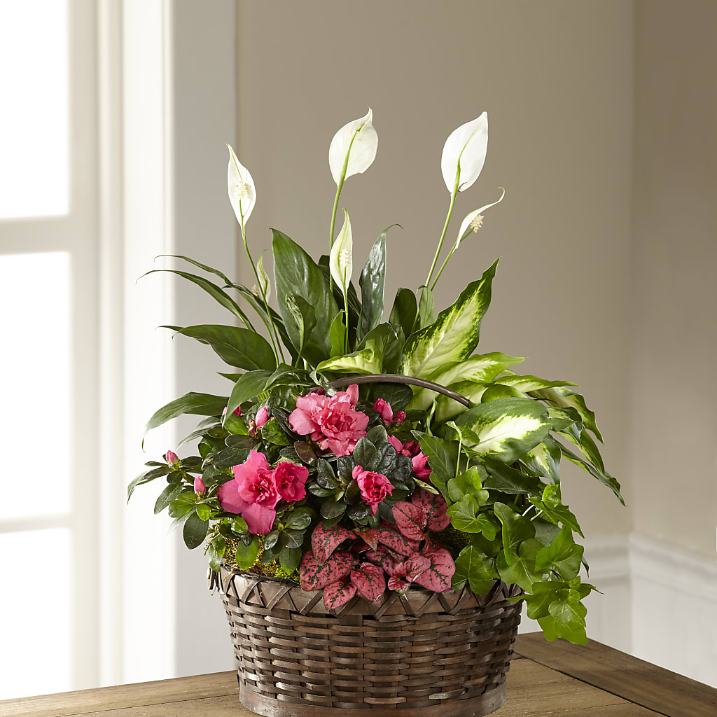 Dream in Pink Dishgarden – MARE'S FLOWER SHOP, Las Vegas NV
