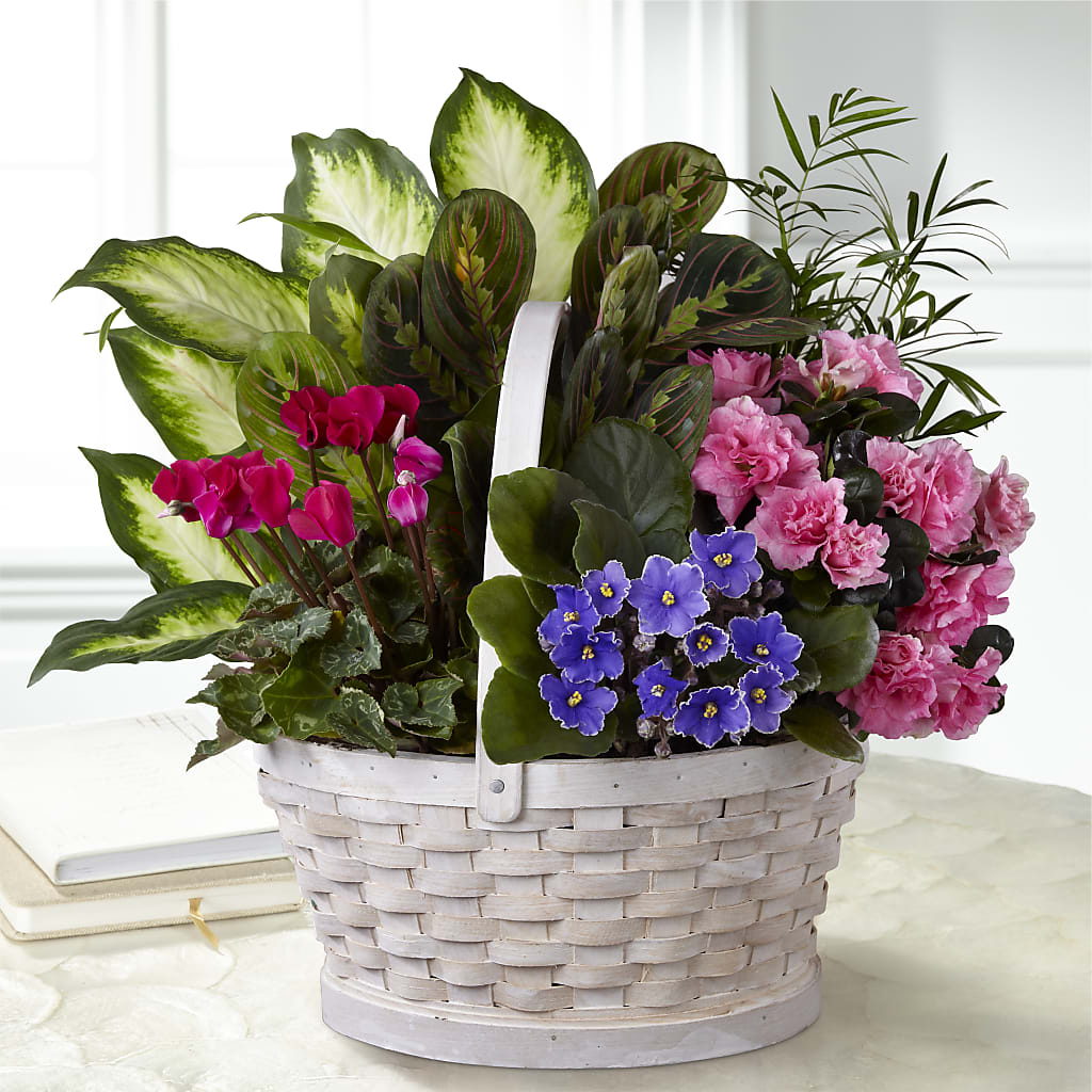 Peaceful Garden Planter – MARE'S FLOWER SHOP, Las Vegas NV