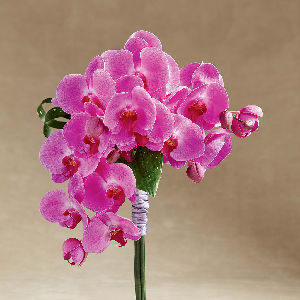 Glorious Bouquet – MARE'S FLOWER SHOP, Las Vegas NV