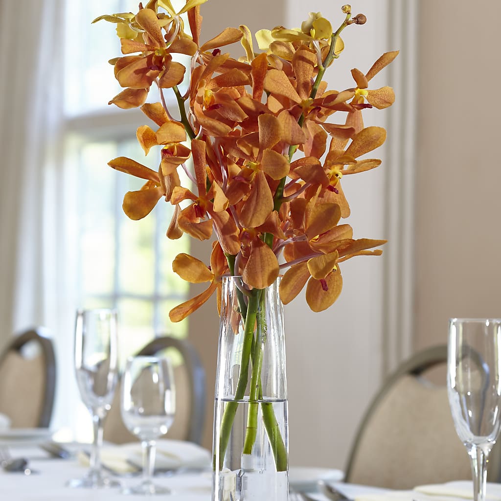 Orange Mokara Bud Vase – MARE'S FLOWER SHOP, Las Vegas NV
