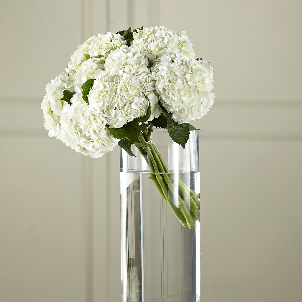 White Hydrangea Hand-Tied Bouquet – MARE'S FLOWER SHOP, Las Vegas NV