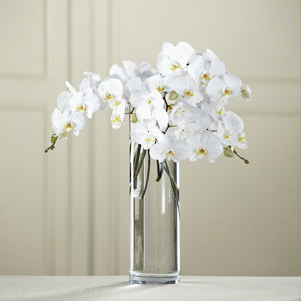 White Phalaenopsis Bouquet – MARE'S FLOWER SHOP, Las Vegas NV