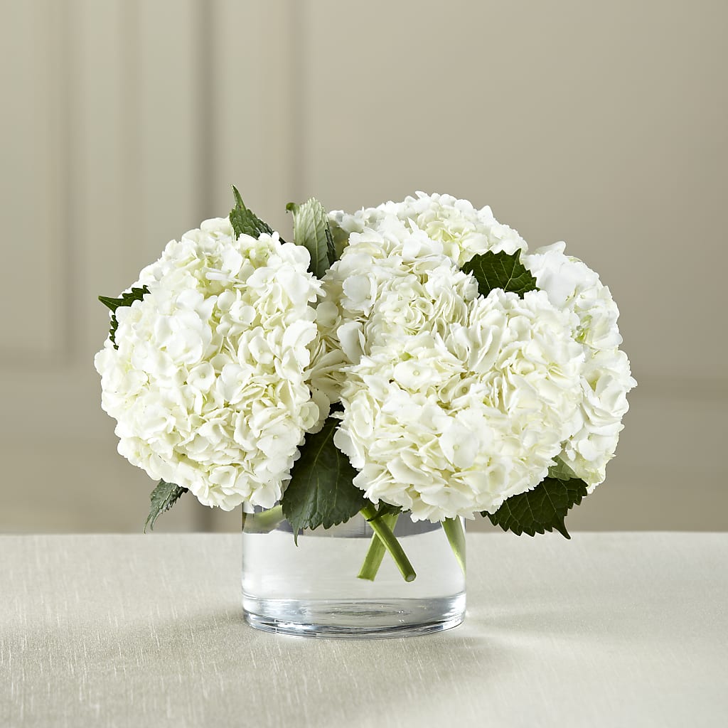 White Hydrangea Bouquet – MARE'S FLOWER SHOP, Las Vegas NV