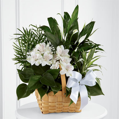 Peace & Serenity Dishgarden – MARE'S FLOWER SHOP, Las Vegas NV