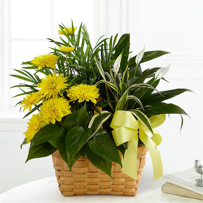 Loving Light Dishgarden – MARE'S FLOWER SHOP, Las Vegas NV