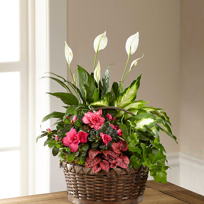 Dream in Pink Dishgarden – MARE'S FLOWER SHOP, Las Vegas NV