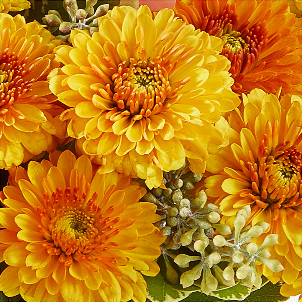 Peachy Pumpkin – MARE'S FLOWER SHOP, Las Vegas NV