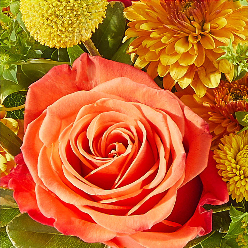 Gourdgeous Pumpkin – MARE'S FLOWER SHOP, Las Vegas NV