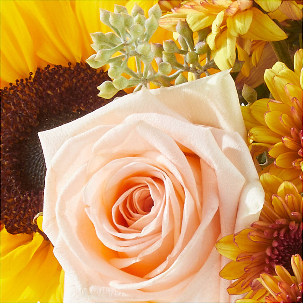 Pumpkin to Talk About Bouquet – MARE'S FLOWER SHOP, Las Vegas NV