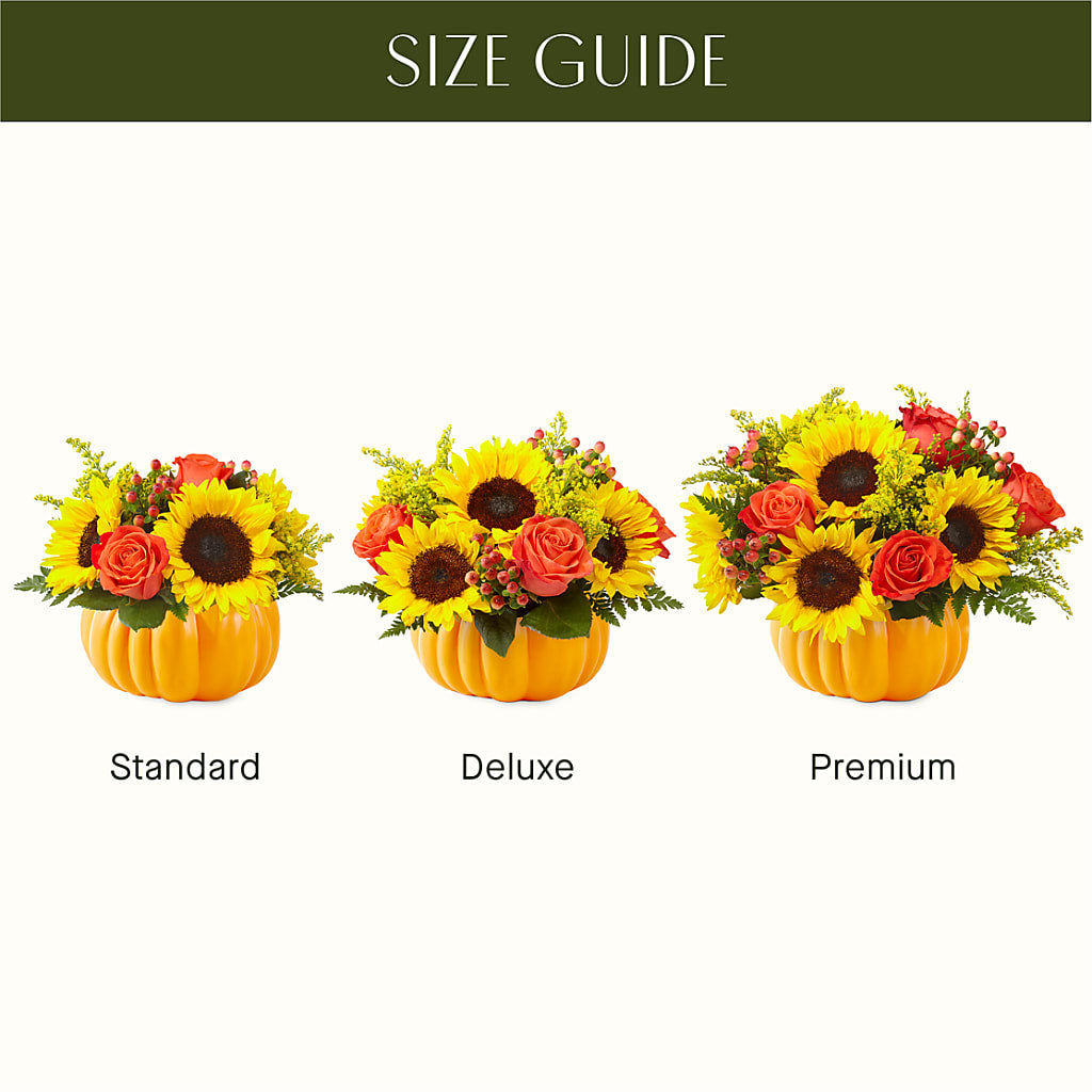 Pick of the Patch Pumpkin Bouquet – MARE'S FLOWER SHOP, Las Vegas NV