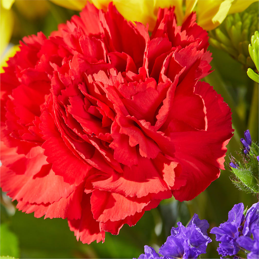 Brighter Days Bouquet – MARE'S FLOWER SHOP, Las Vegas NV
