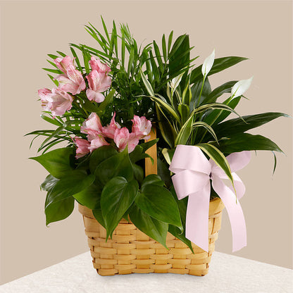 Living Spirit Dishgarden – MARE'S FLOWER SHOP, Las Vegas NV