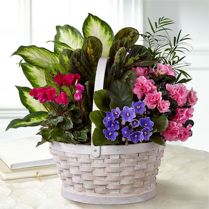 Peaceful Garden Planter – MARE'S FLOWER SHOP, Las Vegas NV