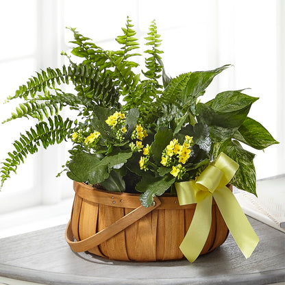 Always Dear Dishgarden – MARE'S FLOWER SHOP, Las Vegas NV