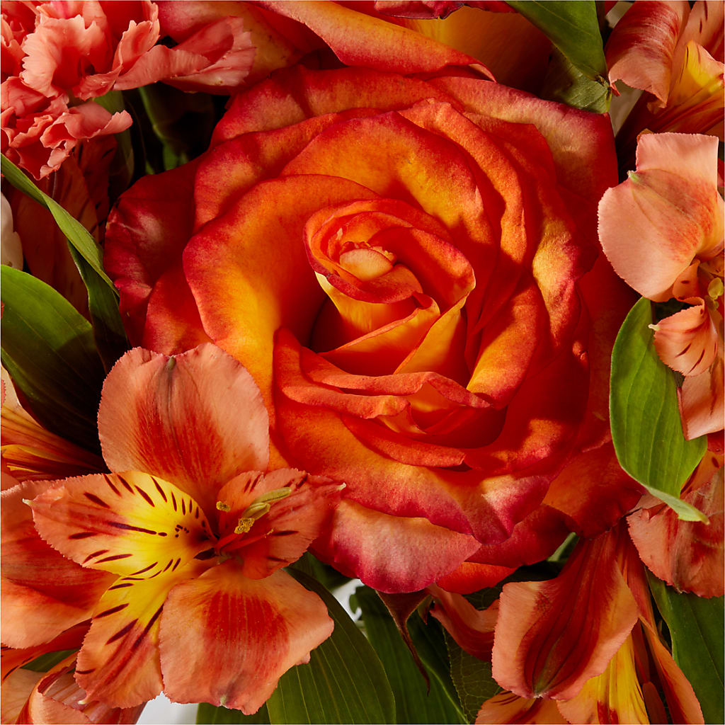 Apricot Glow Bouquet – MARE'S FLOWER SHOP, Las Vegas NV