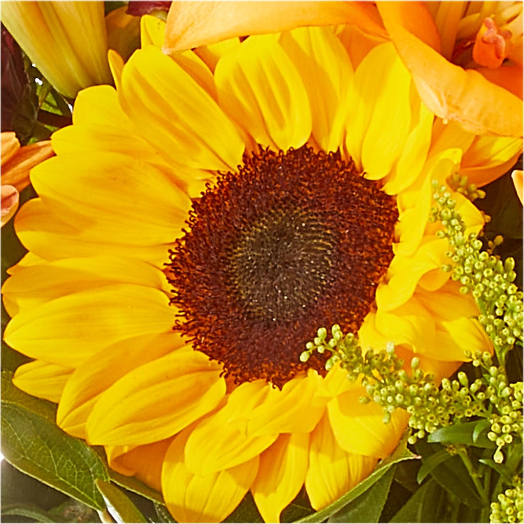Seasons Change Bouquet – MARE'S FLOWER SHOP, Las Vegas NV