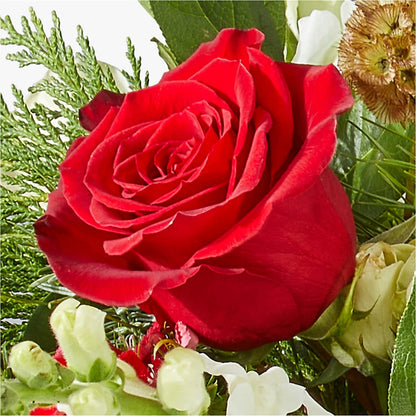 Deck the Halls Bouquet – MARE'S FLOWER SHOP, Las Vegas NV