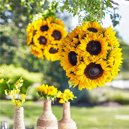 Sublime Garden Hanging Arrangement – MARE'S FLOWER SHOP, Las Vegas NV