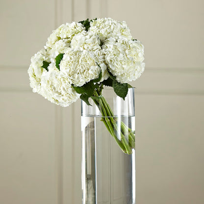 White Hydrangea Hand-Tied Bouquet – MARE'S FLOWER SHOP, Las Vegas NV