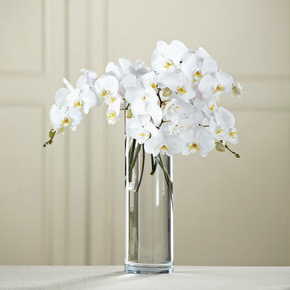 White Phalaenopsis Bouquet – MARE'S FLOWER SHOP, Las Vegas NV