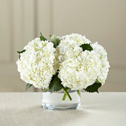 White Hydrangea Bouquet – MARE'S FLOWER SHOP, Las Vegas NV